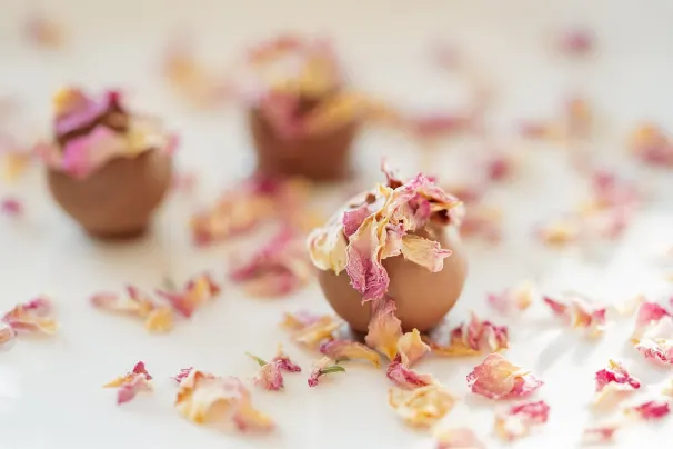 Casino Lotus Asia Android/iOS App